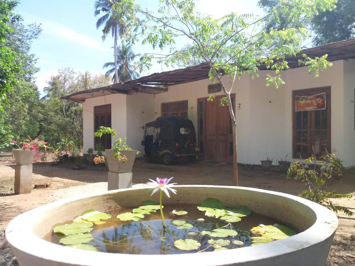 Silent Peacock Villa And Peacock Cafe Tangalle Εξωτερικό φωτογραφία