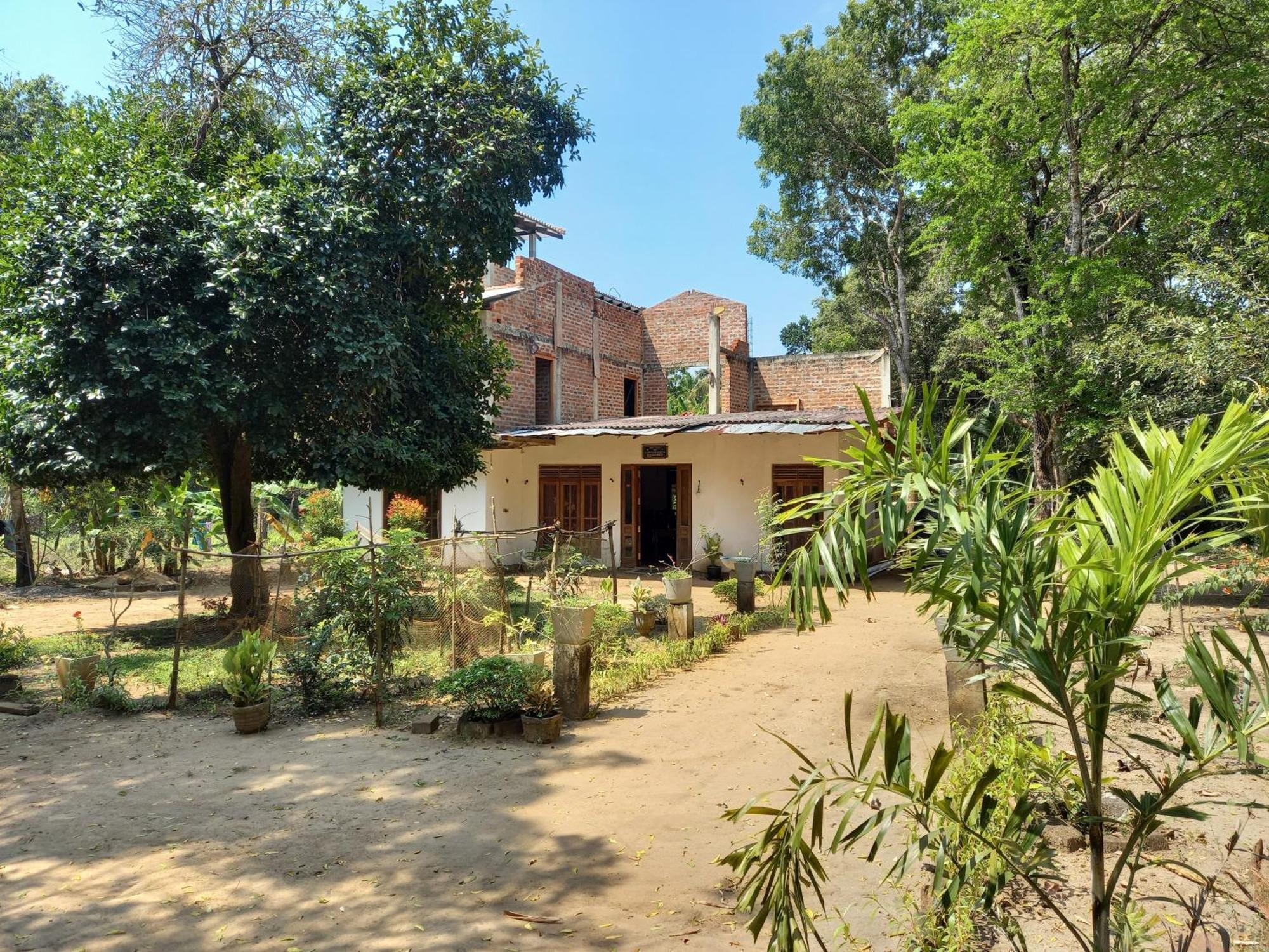 Silent Peacock Villa And Peacock Cafe Tangalle Εξωτερικό φωτογραφία